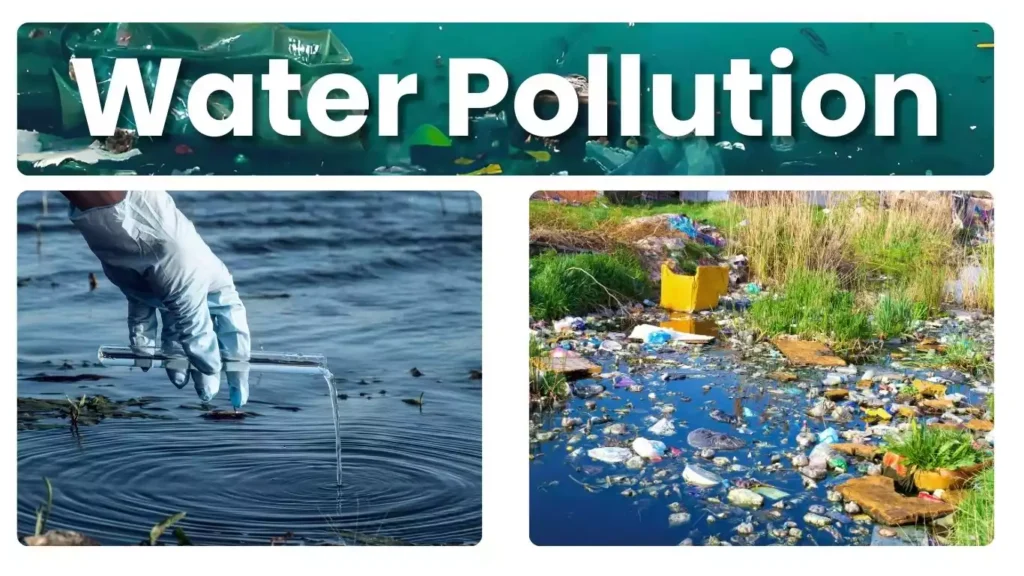 Water Pollution