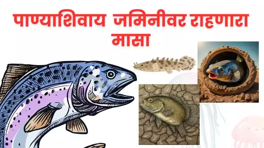 फुफ्फुसमीन (Lungfish)